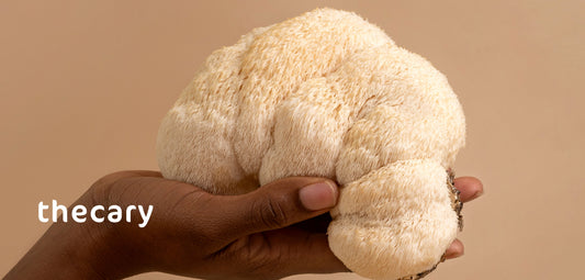 Exploring Lion's Mane for Focus and Attention