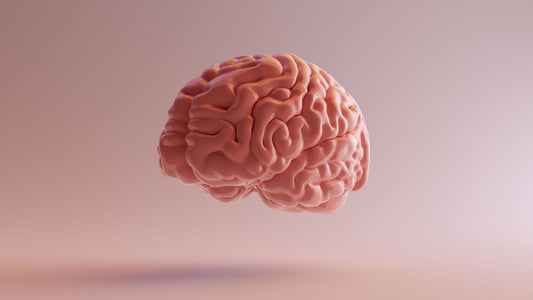Enhancing Cognitive Endurance: Important Vitamins for Prolonged Mental Work - Thecary