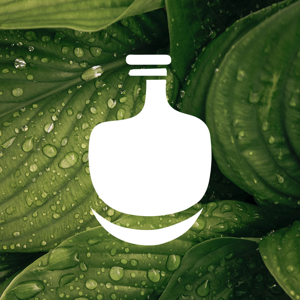 thecary icon on a background of green leaves with water droplets